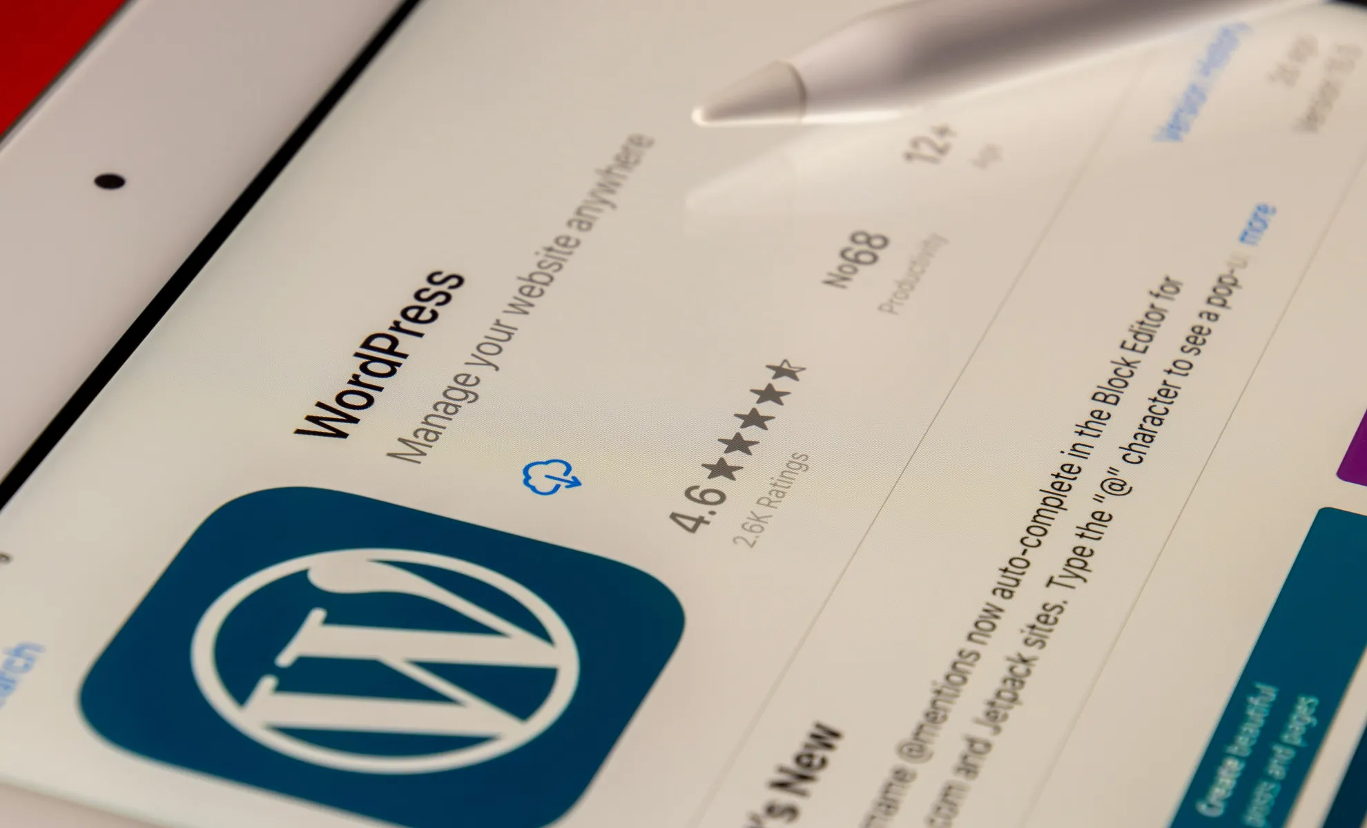 WordPress Maintenance in South Africa