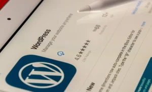WordPress website design benefits for South African businesses