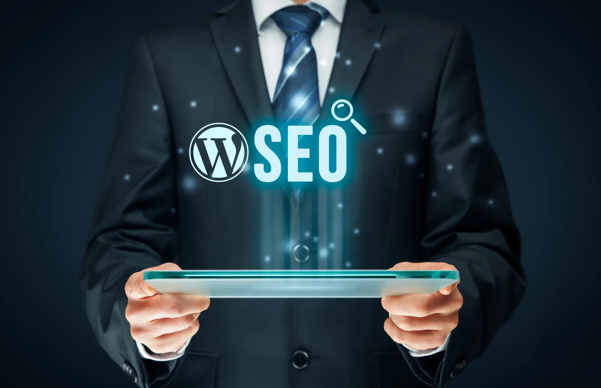 WordPress SEO Services